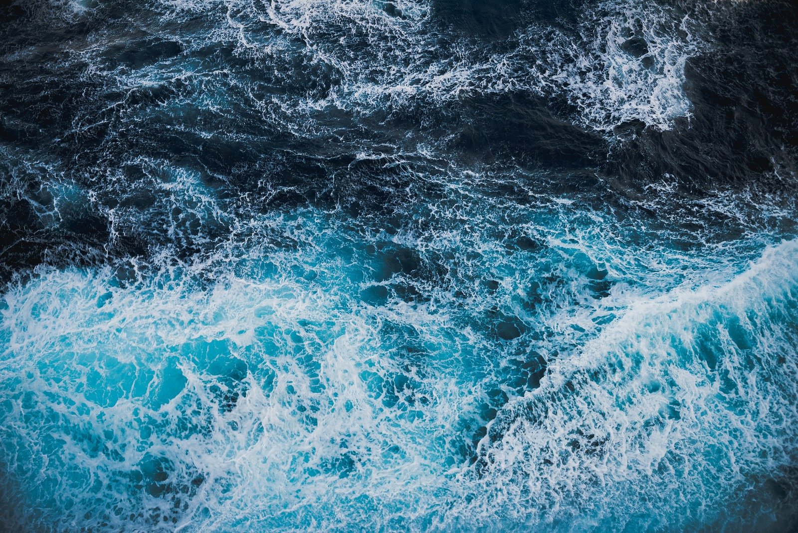 blog 2